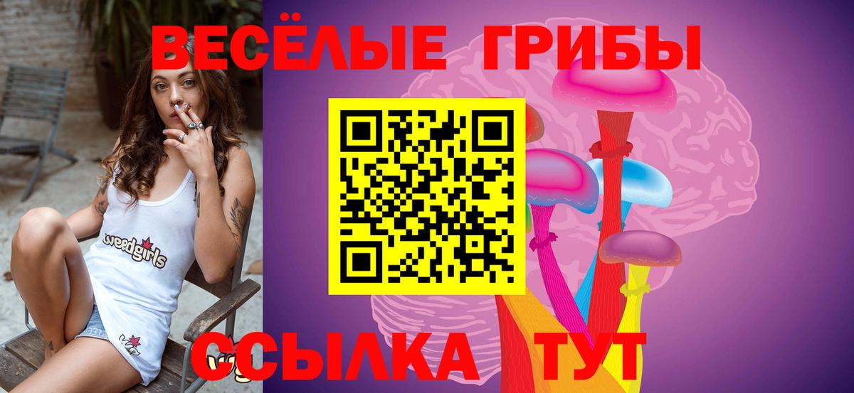Псилоцибиновые грибы мицелий Белогорск