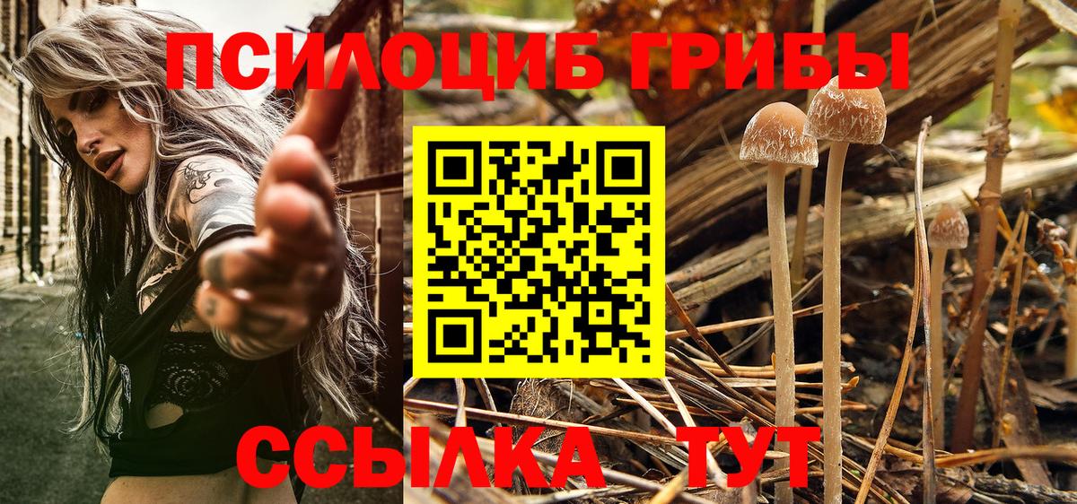 Белогорск  Галлюциногенные грибы мухоморы  Вход с VPN 